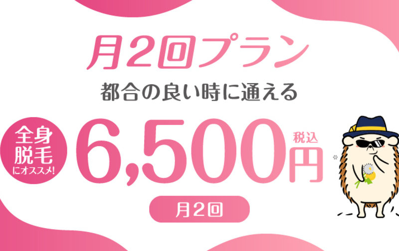 定額「毎月2回」60分コース（6,500円）ペア利用可 ※3ヵ月以上契約必須