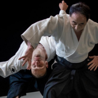 大東流合気柔術／Daito-ryu Aikijujutsuの月謝・回数券