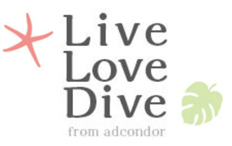 Freedom Factory マンスリーエクササイズパス