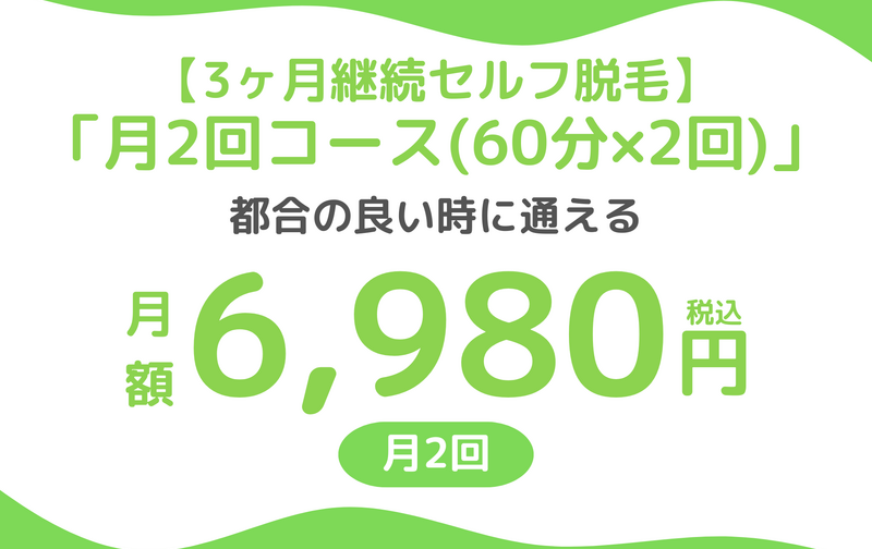 3ヶ月契約　セルフ脱毛「月2回コース（1回60分×2回）」