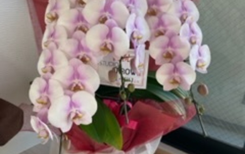 ペアー⭐︎トレーニング　¥10,000   60分　お一人様あたり　¥５，０００　只今販売終了