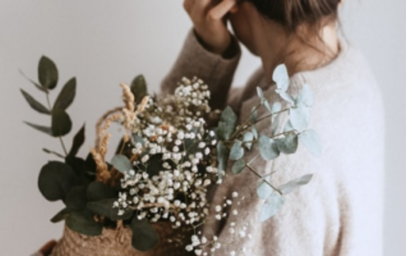 新「マンスリーメンバー」プラン