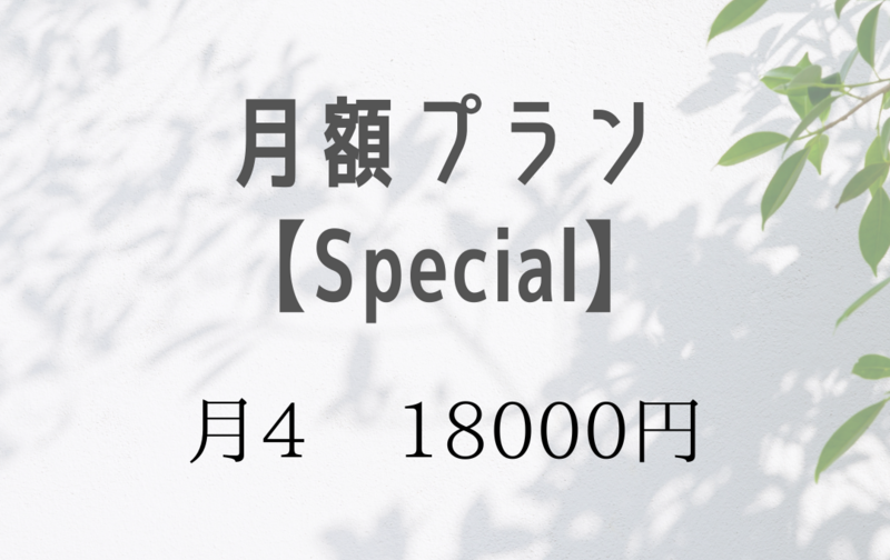 月額プラン【Special】月4