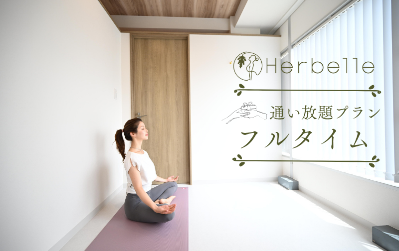 フルタイム　（通い放題プラン）