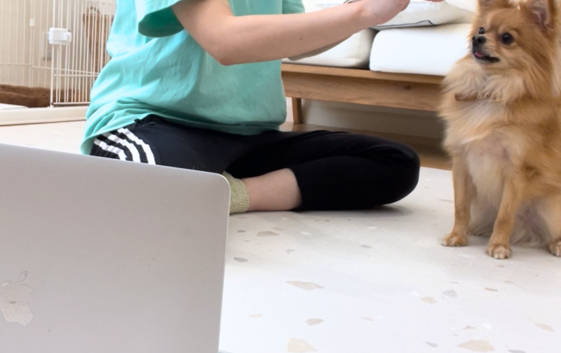 トレーニングコース