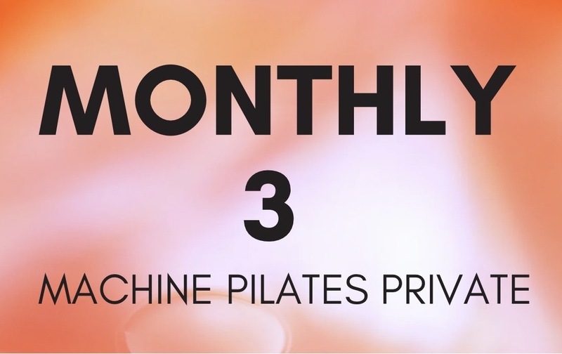 月額3回　@10,300円