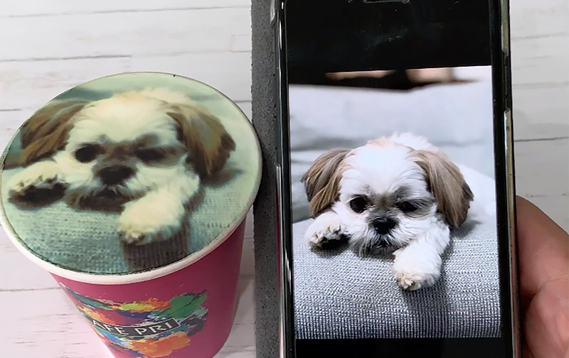 カフェプリコース5枚