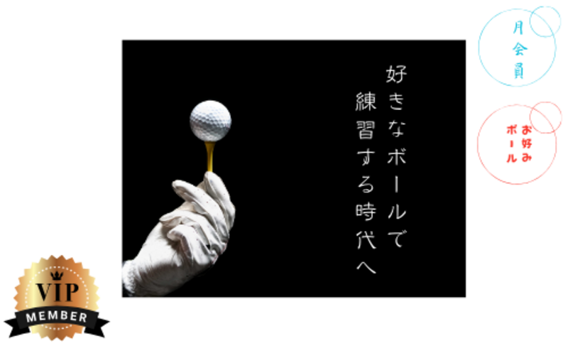 平日Daytime【Ultra VIP+お好みボール】