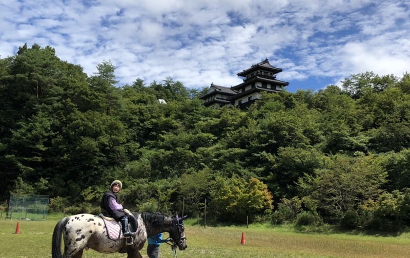 乗馬　パーソナルトレーニング11回綴り