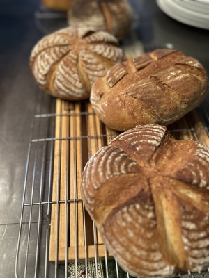 味噌ハニーカンパーニュ& モロッコ風味噌ランチ ～鶴巻温泉足湯とともに楽しむ発光時間