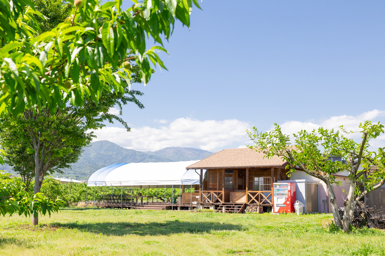 PESCA−SHOP【5月〜6月中旬のご予約はこちら】2025年度