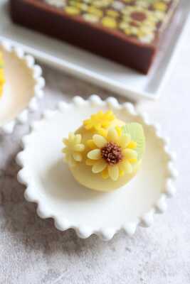 《錢屋塾》和菓子講座　吉岡みどり先生～ひまわり畑のチョコレート羊羹とこなし2種～