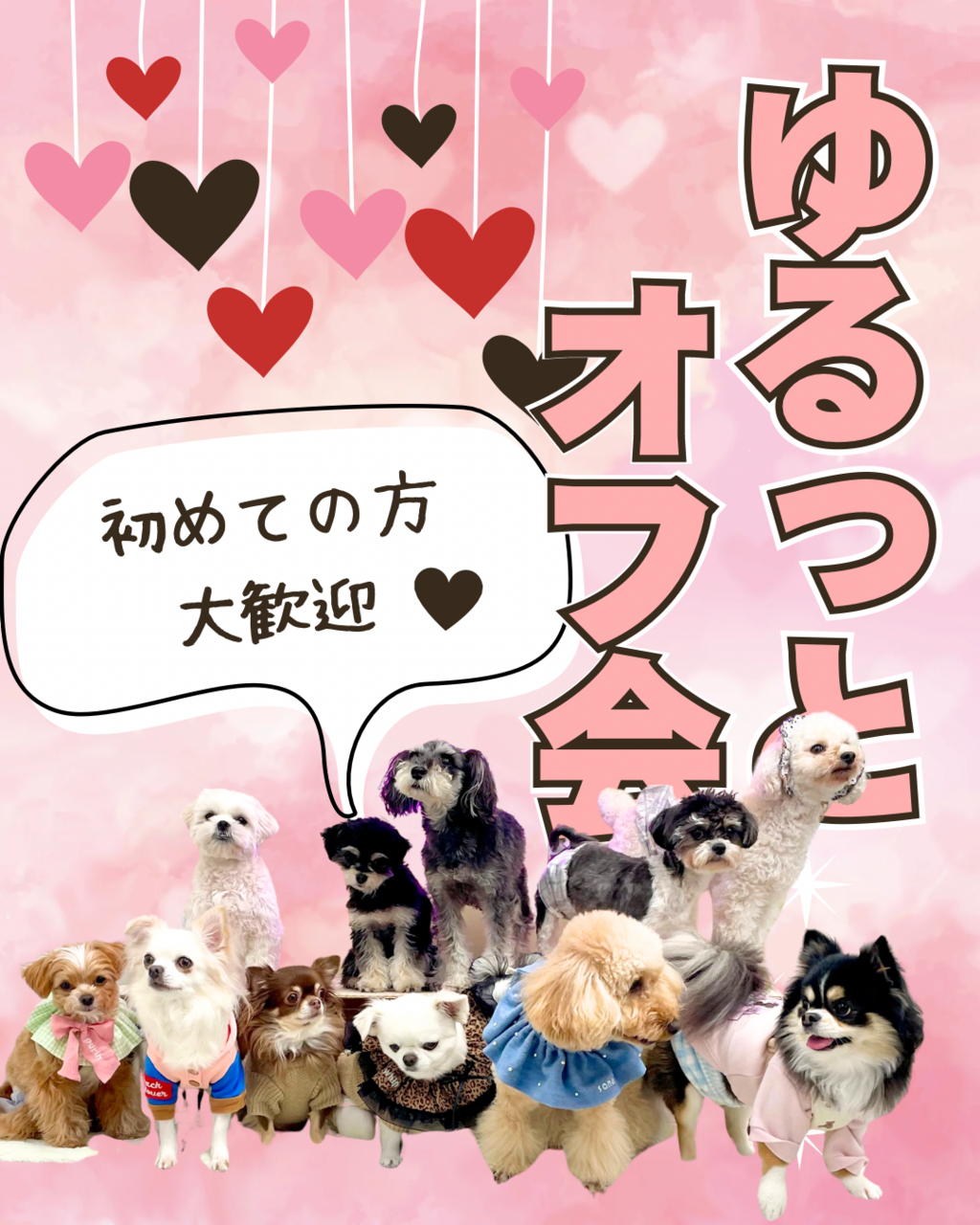 BOOOON わんこのゆるオフ会