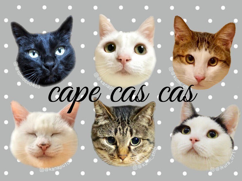 きっとうまくいくコンサート2025.6.29