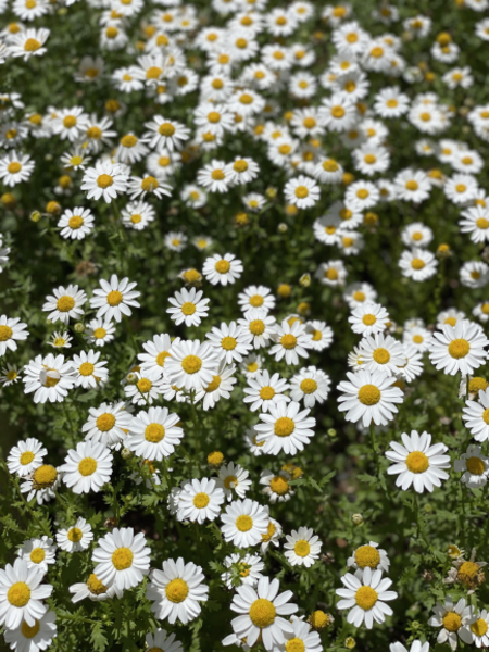 【在学生・年間パスポートをお持ちの方】（2/18）【Zoom】最近のトピック　第204回｜