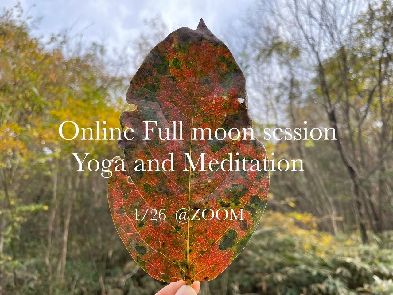 Online Fullmoon session 1/26