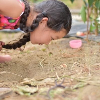 理系脳に育つ幼児期からの探究のすすめ🔬＆自己肯定感を育てる心の土台の作り方👶