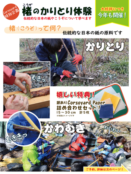 楮のかりとりを体験しよう！　～楮刈り取りワークショップ2026～