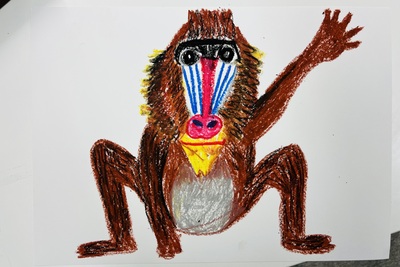 体験オンライン　＊直接お問合せください