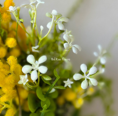 黄色いミモザの春待ちリースLesson（仮予約）｜アトリエBell Rose