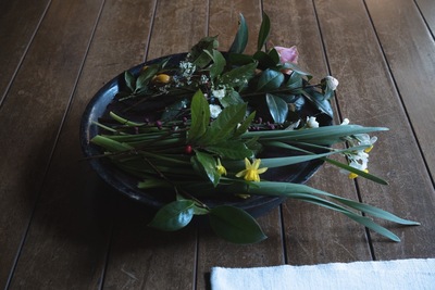 Wa days. vol.3 Spring