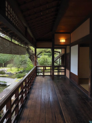 Wa days. vol.3 Spring