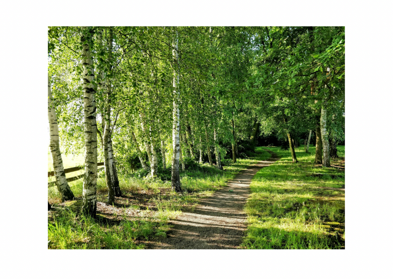 ピラティスとヨガWS