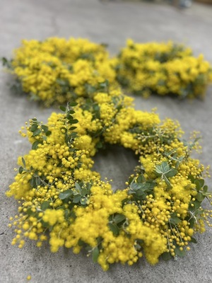 【ワークショップ】春を告げる花『ミモザ』のリース作り体験