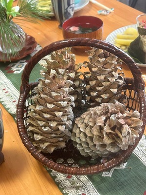 🌲松のポンデケージョ ＆ 松の生米パン レッスン in 京都