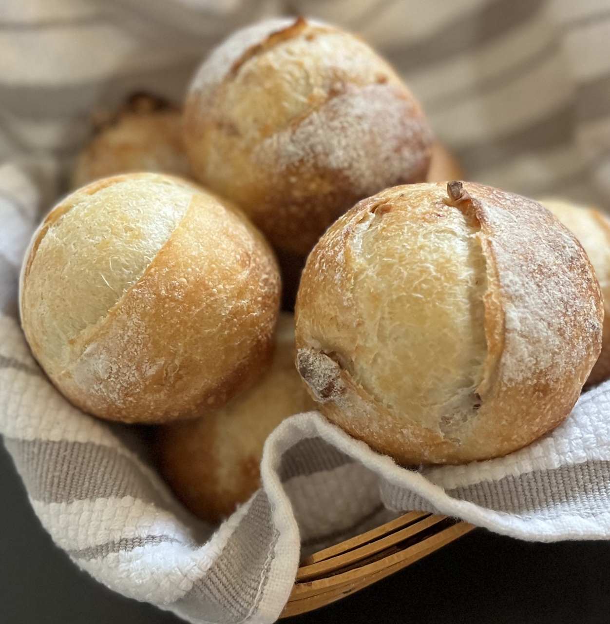 ハードパン体験会