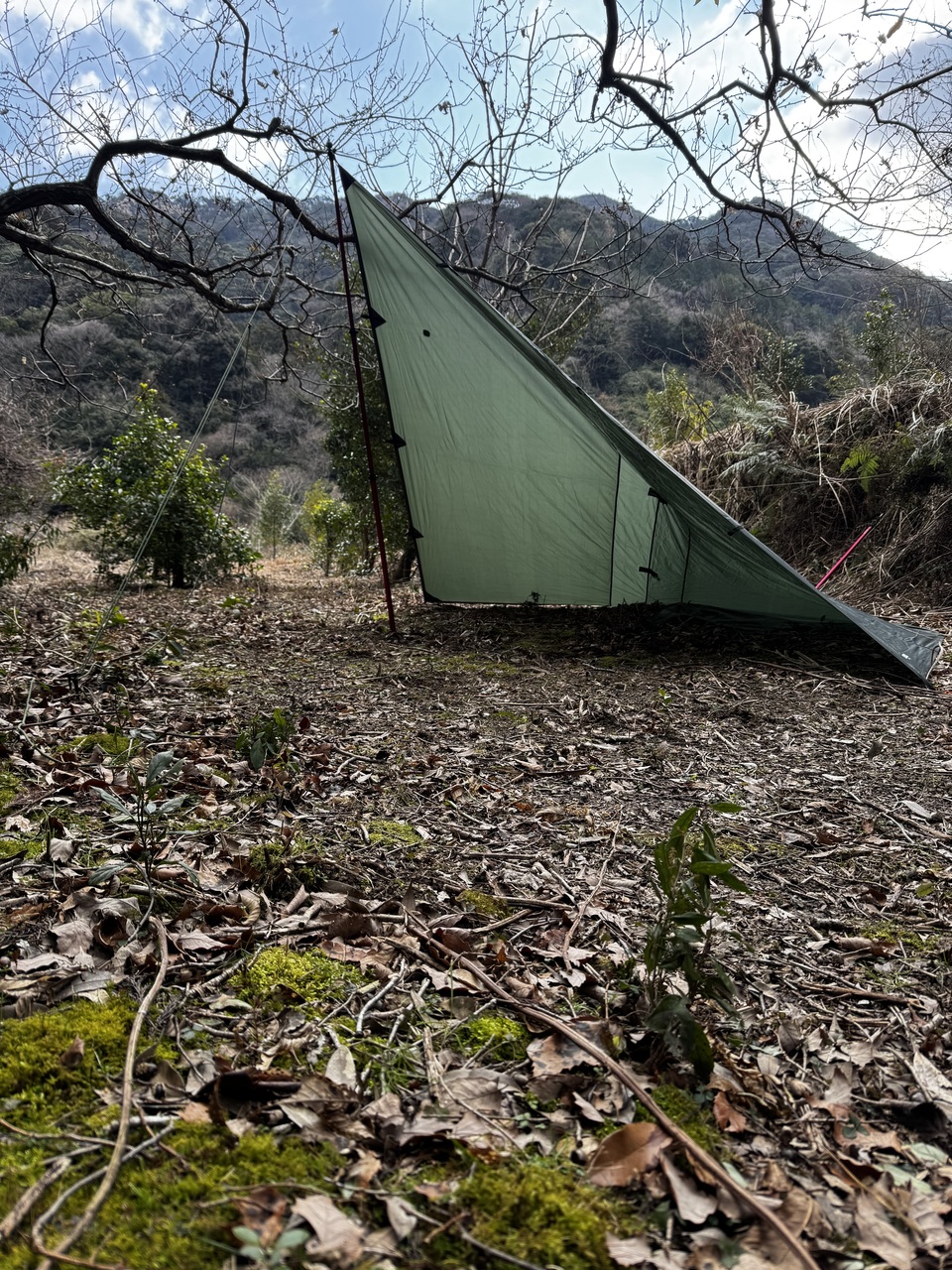 NGS野営場（段々サイト）