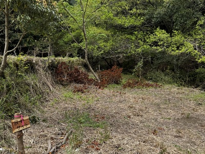 NGS野営場（段々サイト）