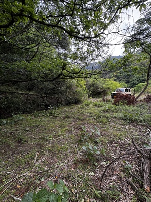 NGS野営場（段々サイト）