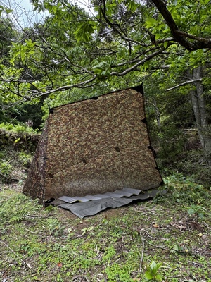 NGS野営場（段々サイト）