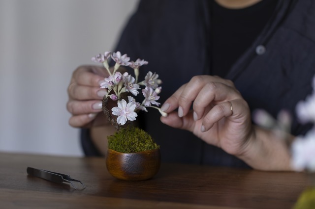漆器の器と和紙のお花桜盆栽作り体験