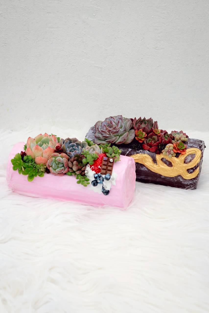 11/22、23、29、30日、12月5~7日、11日、13、14日 クリスマスの寄せ植えワークショップ