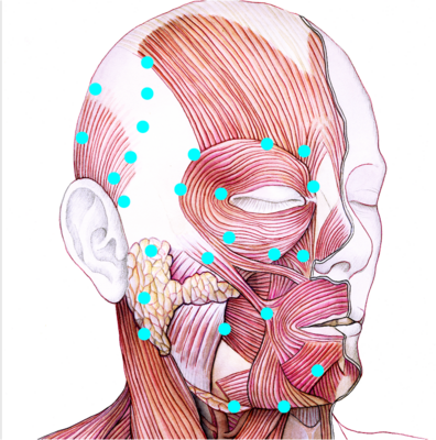 １月24日（土曜日）KAOYOMI 顔ツボ・頭ツボで睡眠力と顔印象を若返らせるリカバリーセミナー
