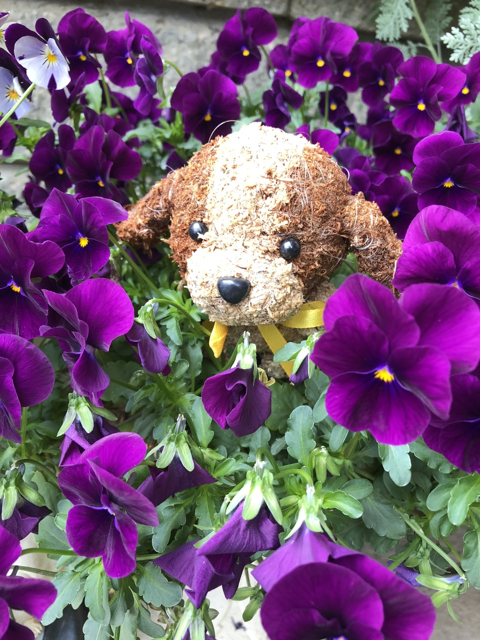 メンタルアロマカウンセラー講師養成講座