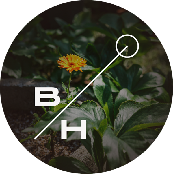 BOTANICAL HOLIDAY　ヨガ・セッション予約