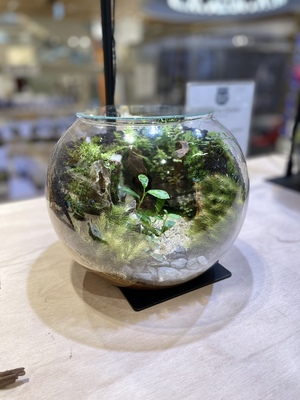 【 クリエイターコース修了者限定 】テラリウム練習会