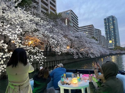 🌸 110分　貸切桜クルーズ（12名乗り）早期予約特典!! ウェルカムスパークリングワイン付き🌸