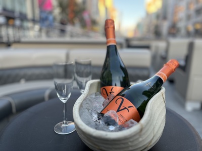 🌸 110分　貸切桜クルーズ（12名乗り）早期予約特典!! ウェルカムスパークリングワイン付き🌸