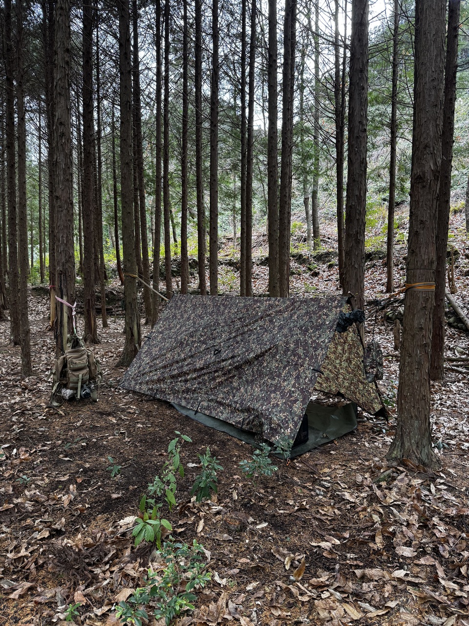 NGS野営場（ヒノキサイト）