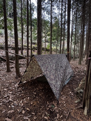 NGS野営場（ヒノキサイト）