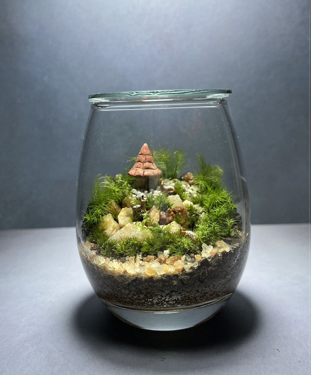 【豊橋】毎日眺める楽しみ♪苔テラリウム作り【Green walkway】