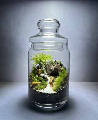 【豊橋】毎日眺める楽しみ♪苔テラリウム作り【Green walkway】