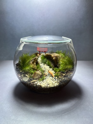 【豊橋】毎日眺める楽しみ♪苔テラリウム作り【Green walkway】