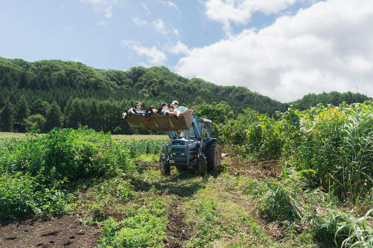 農業体験(冨田さん)_函館・道南プログラム_ポケマルおやこ地方留学2025夏