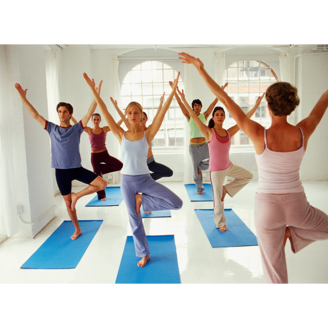 ハタヨガベーシック　☆～☆☆