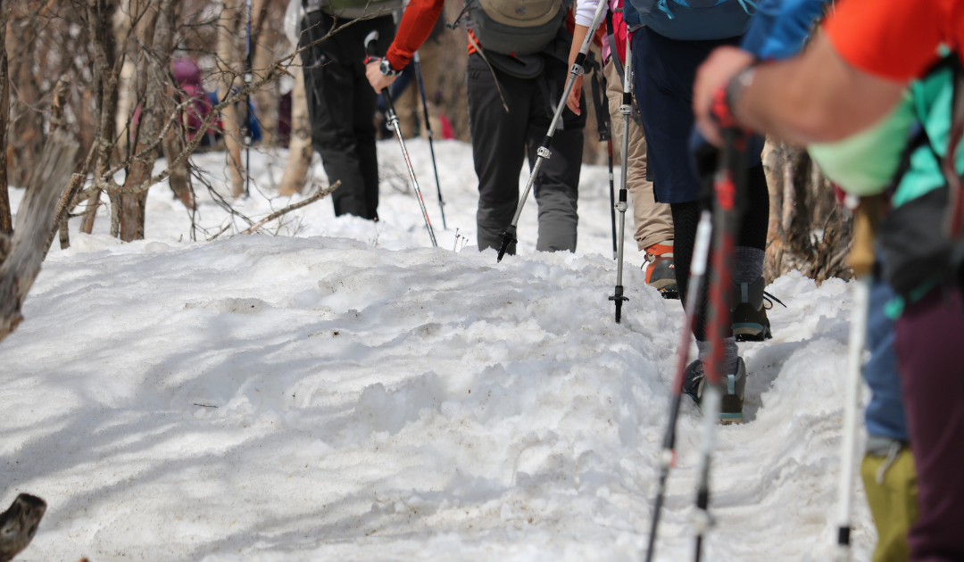 【2026/2/18(水)】残雪期デビュー応援イベント トレッキングポール&軽アイゼン装備とウェア講習会